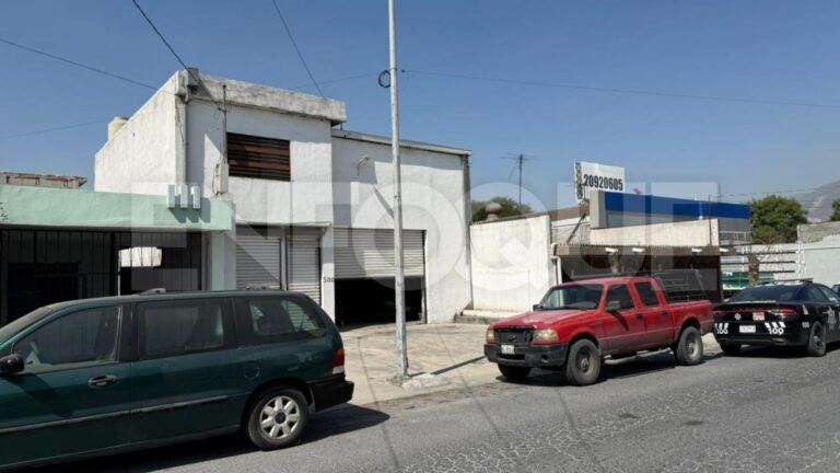 Plecas e informacion - 2026-02-17T120629.275