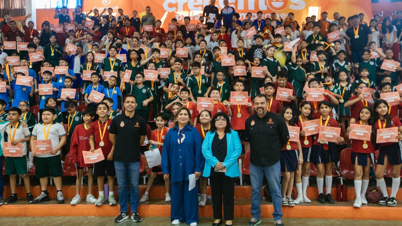 Plecas e informacion - 2026-02-18T153832.347