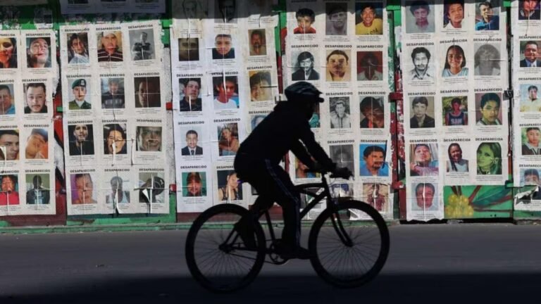 Plecas e informacion - 2026-02-19T093838.205