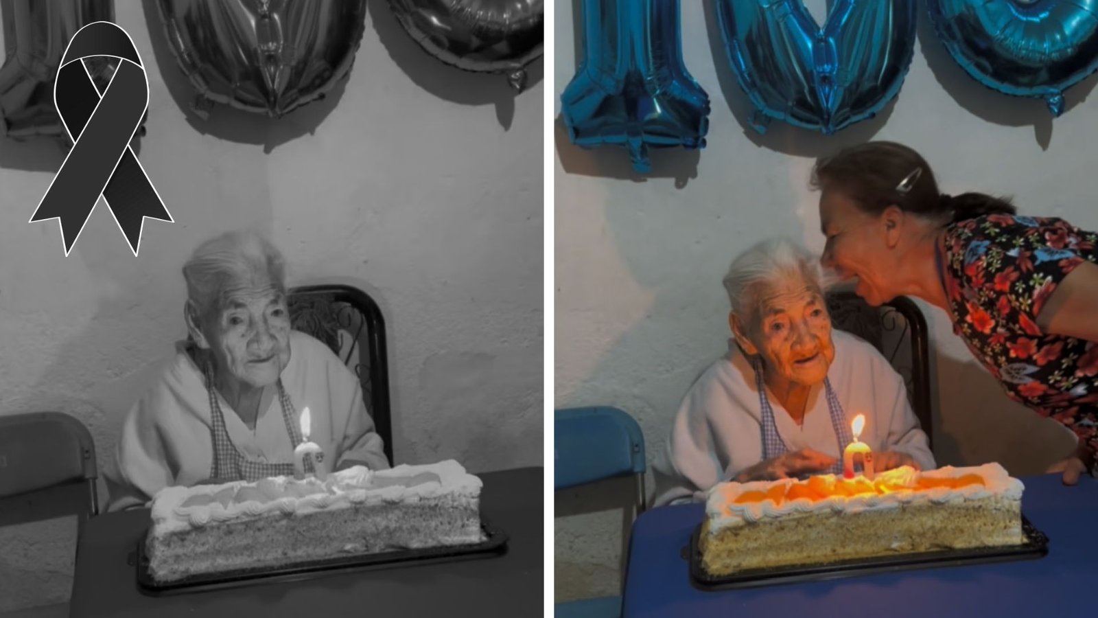 Plecas e informacion - 2026-02-20T094057.868