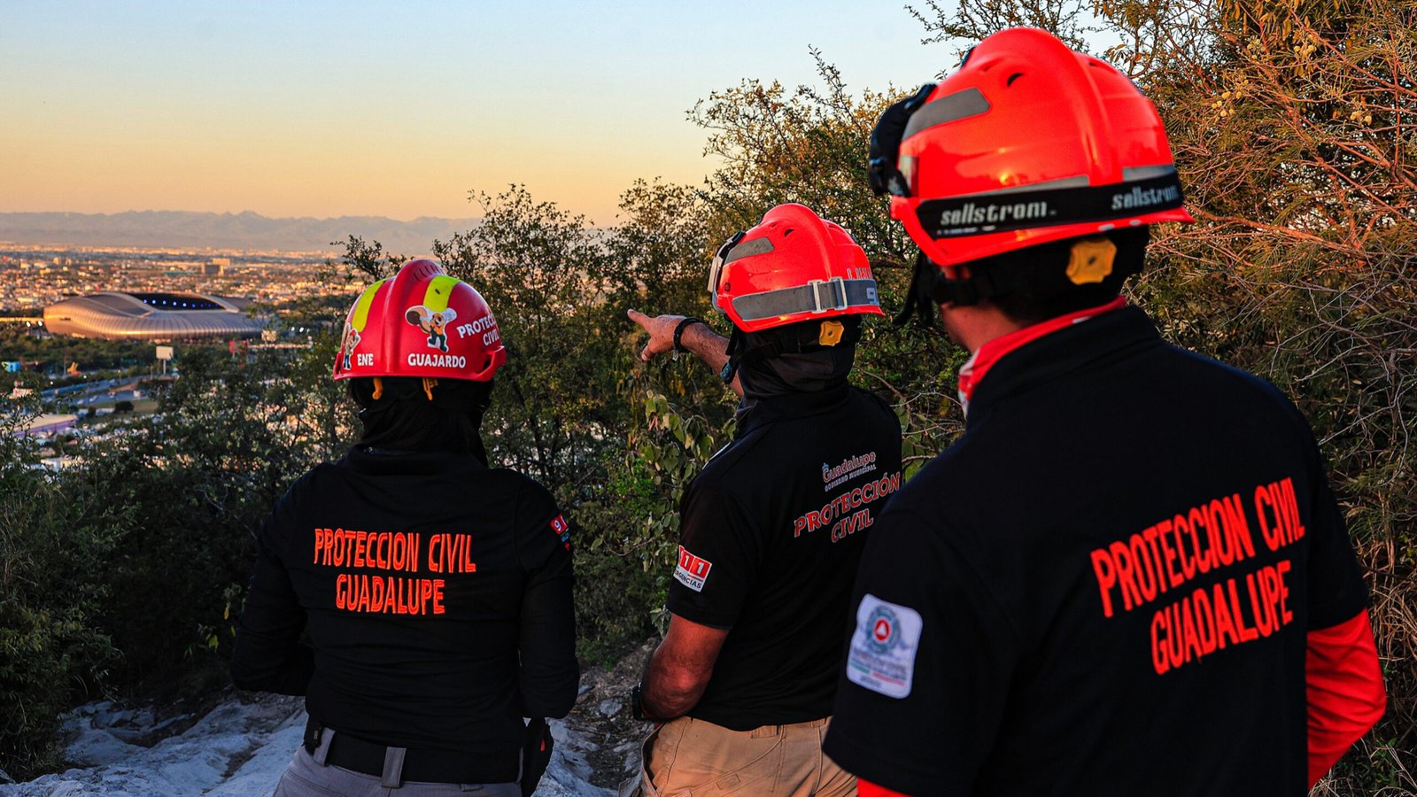 Plecas e informacion - 2026-02-20T153608.664