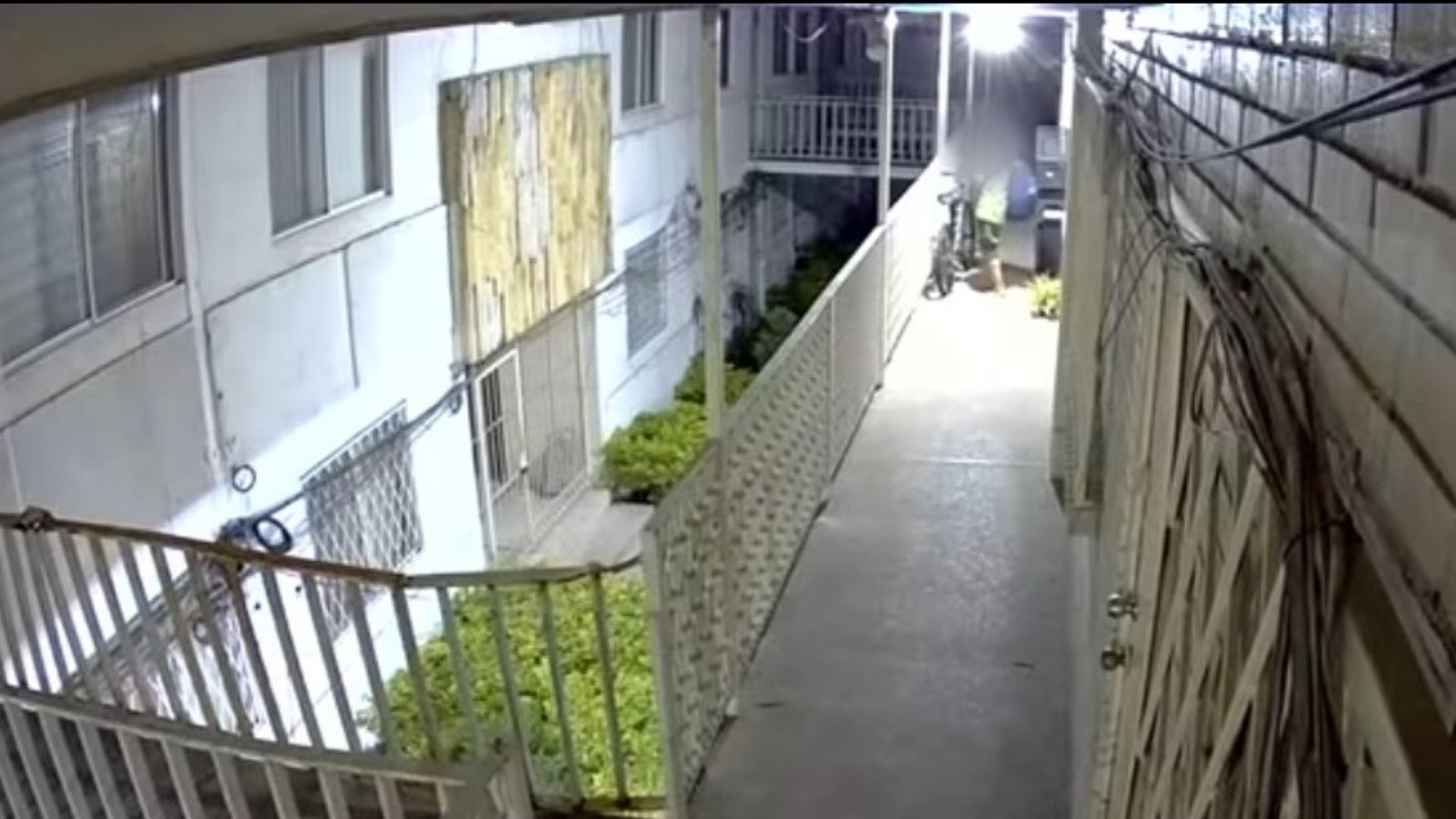 Plecas e informacion - 2026-02-20T155743.149