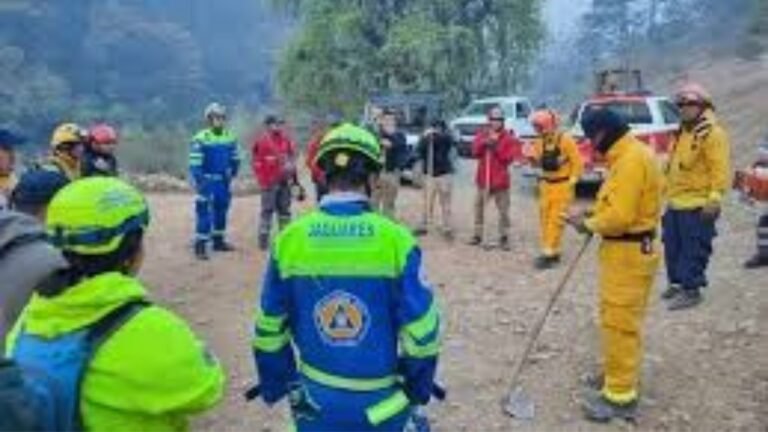 Plecas e informacion - 2026-02-20T161103.975