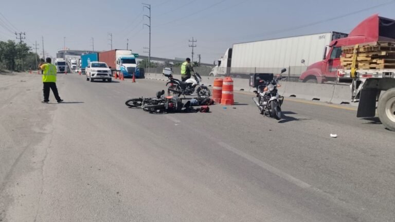 Plecas e informacion - 2026-02-20T161343.885