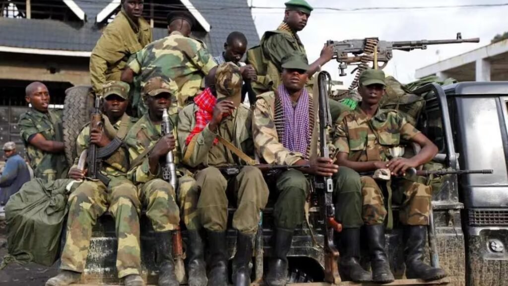 Plecas e informacion - 2026-02-21T101533.387