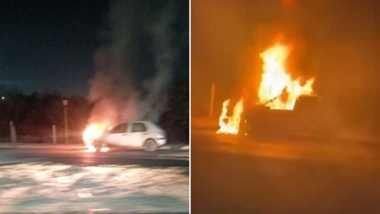 Plecas e informacion - 2026-02-21T102219.374