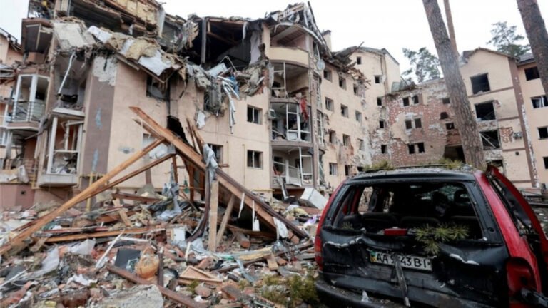 Plecas e informacion - 2026-02-22T082803.006