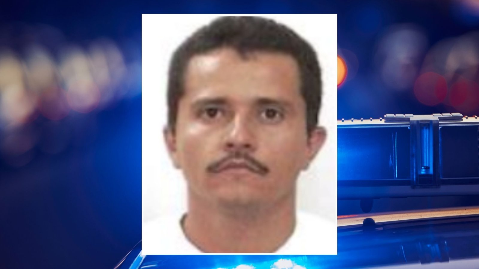 Plecas e informacion - 2026-02-22T122554.162