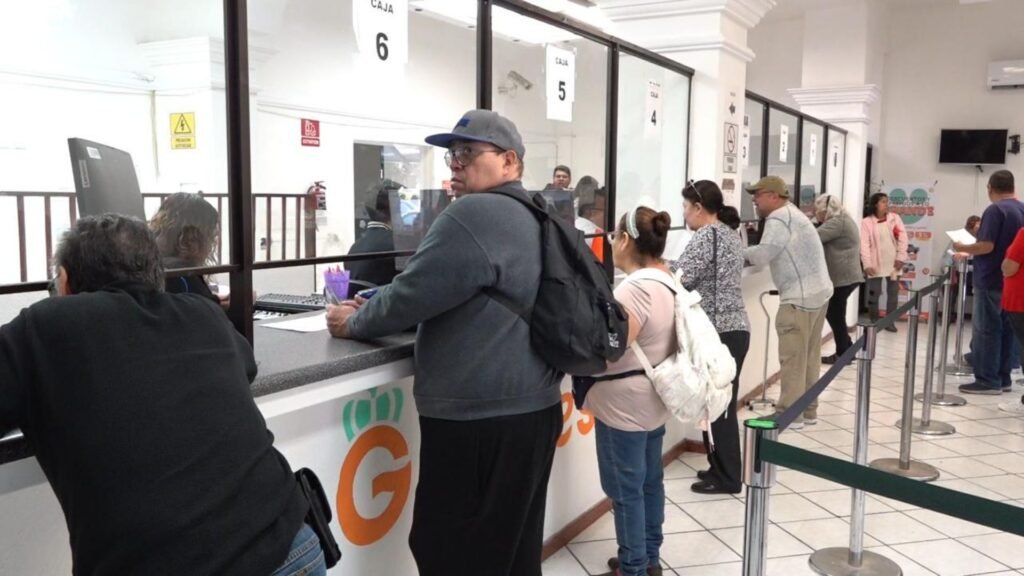 Plecas e informacion - 2026-02-22T152122.485