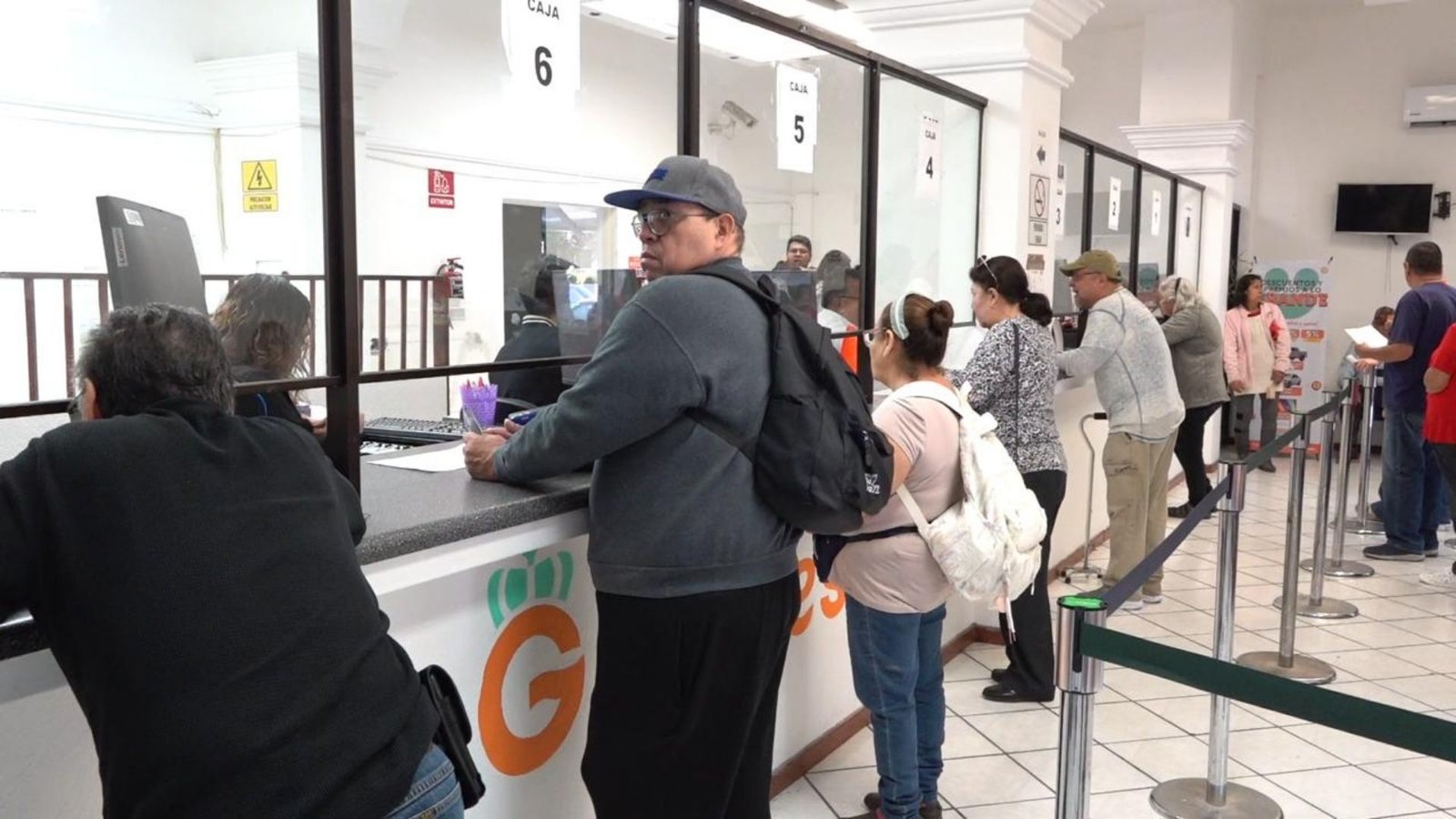 Plecas e informacion - 2026-02-22T152122.485