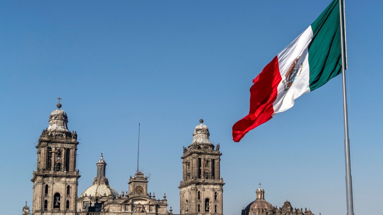 Plecas e informacion - 2026-02-22T155544.282