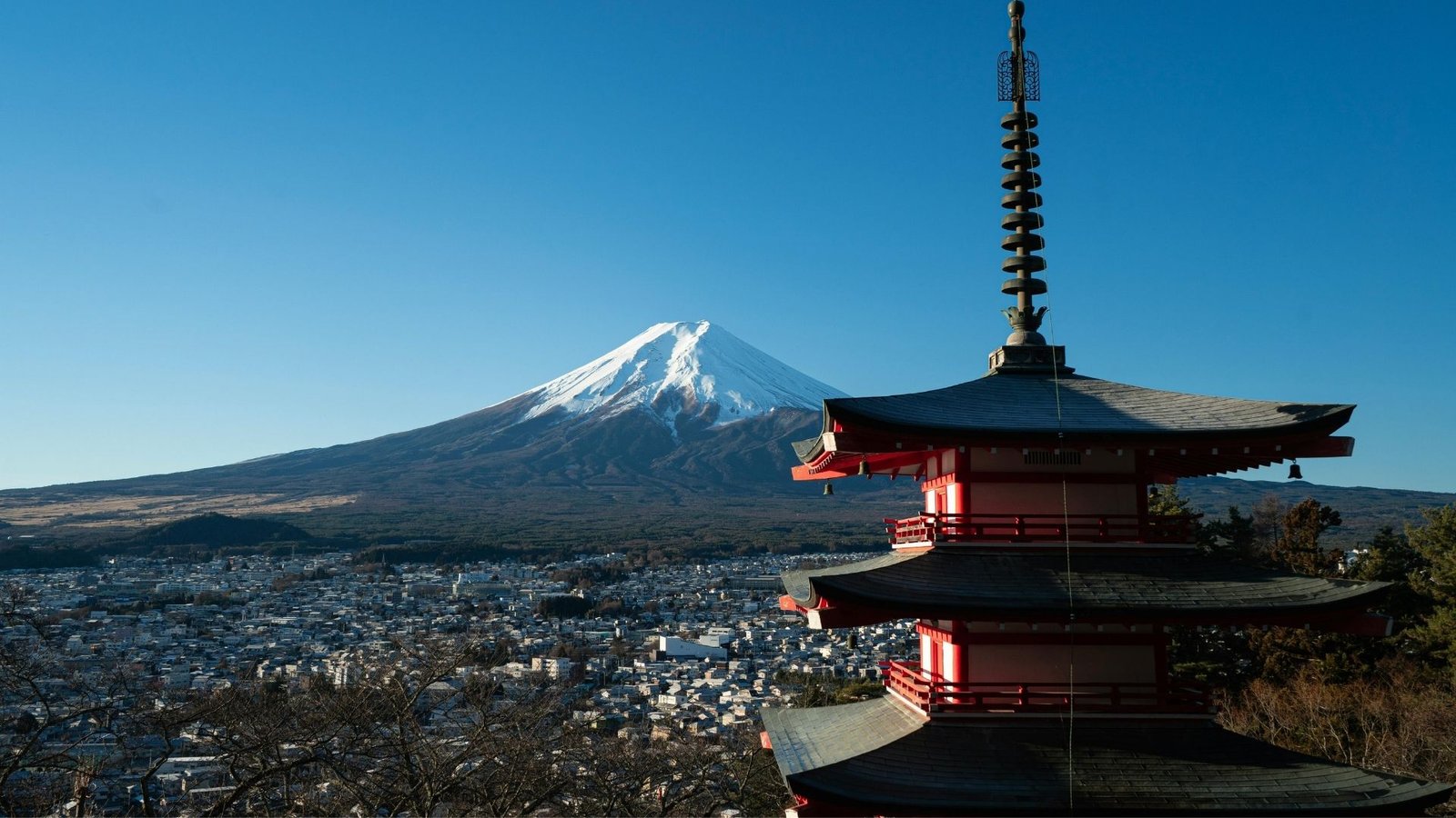 Plecas e informacion - 2026-02-23T101814.574