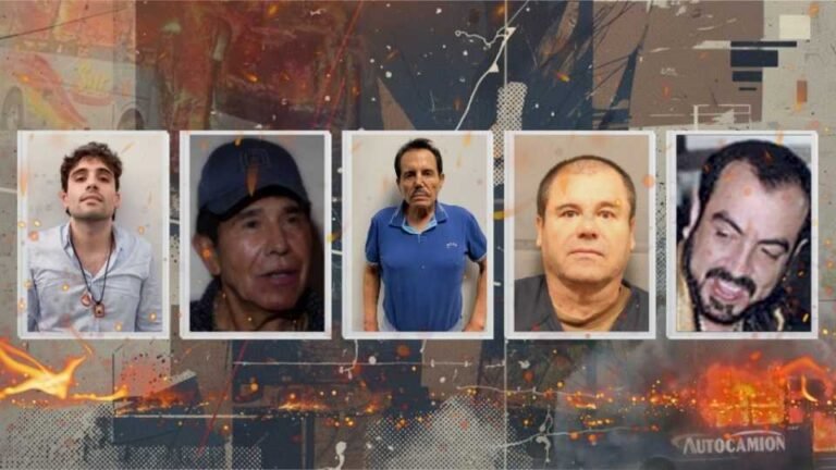 Golpes al narcotráfico por sexenio