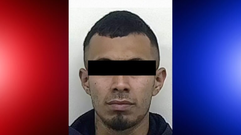 Plecas e informacion - 2026-02-23T163206.995