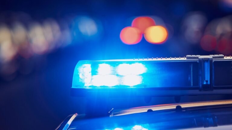 Plecas e informacion - 2026-02-24T092536.626