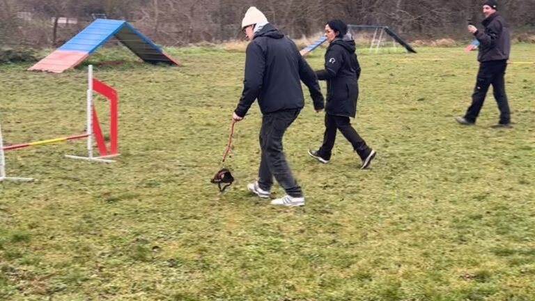 Plecas e informacion - 2026-02-24T114923.423