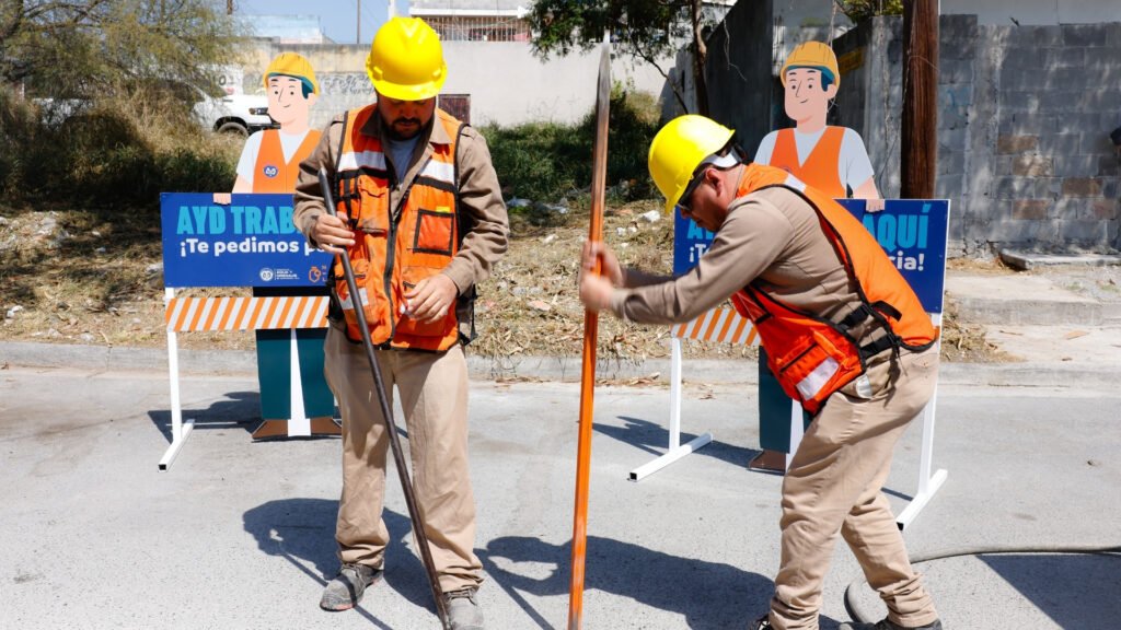 Plecas e informacion - 2026-02-24T173959.717