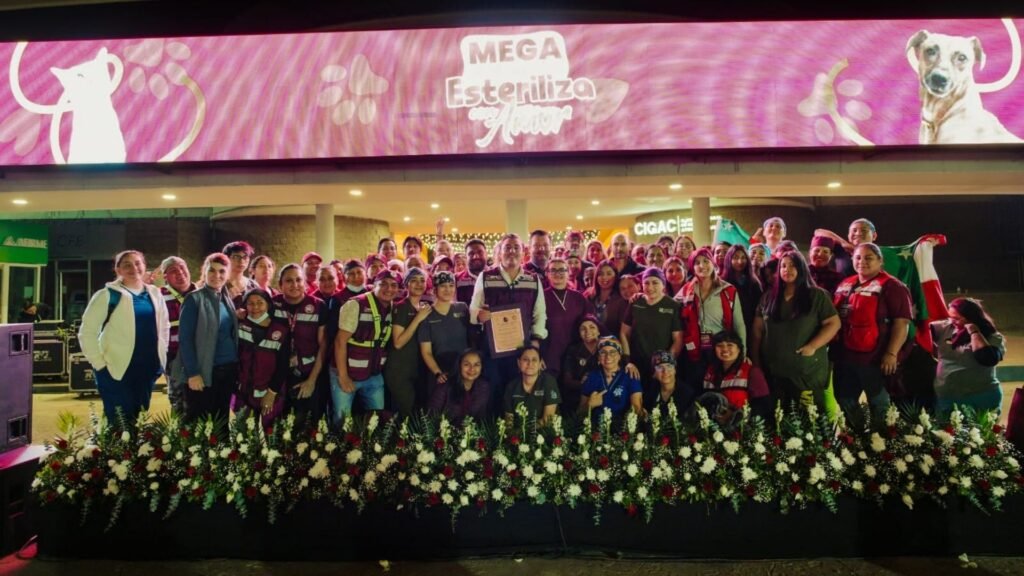 Plecas e informacion - 2026-02-25T093822.861