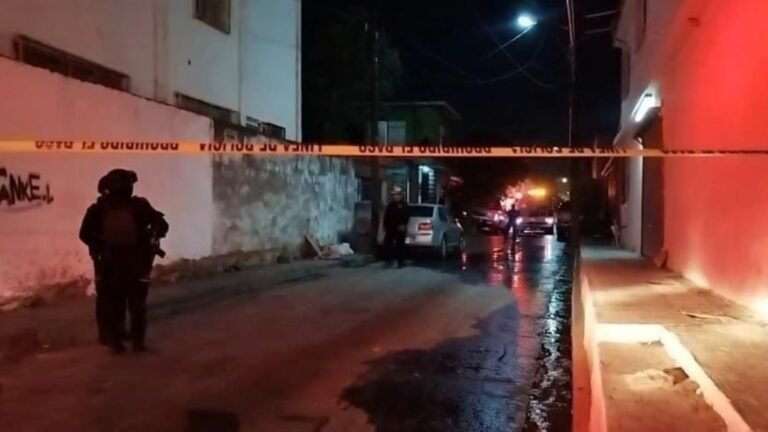 Plecas e informacion - 2026-02-25T100329.799