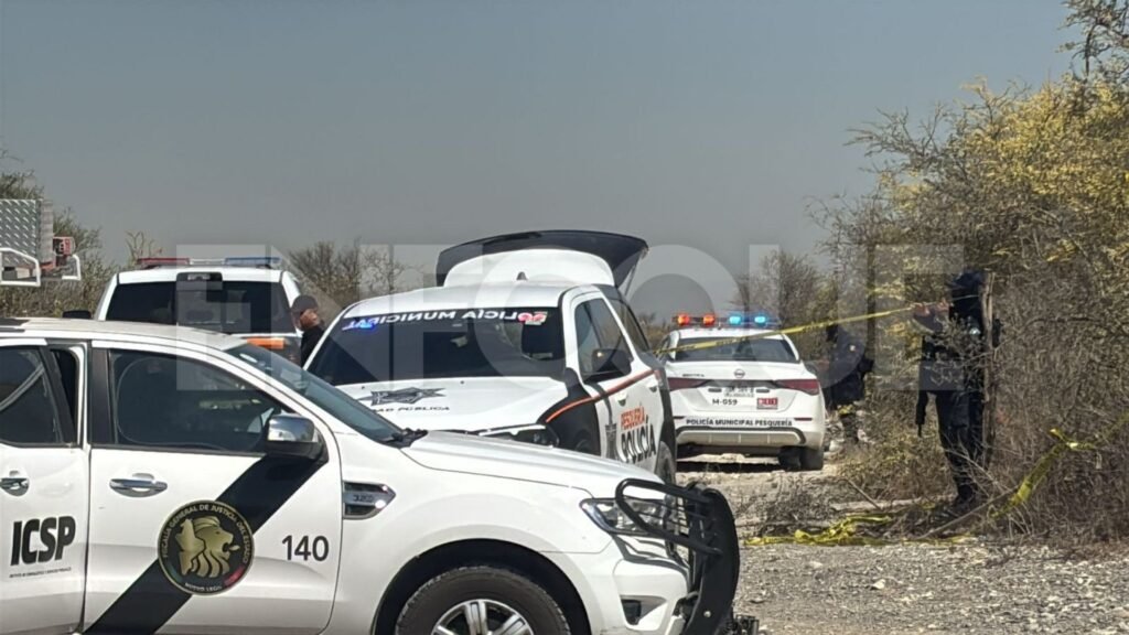 Plecas e informacion - 2026-02-25T121237.348