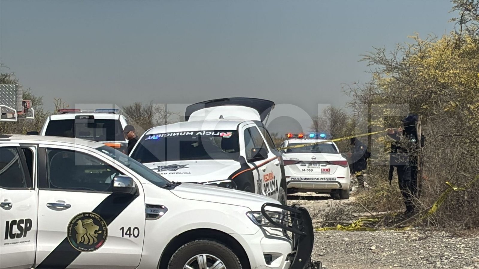 Plecas e informacion - 2026-02-25T121237.348