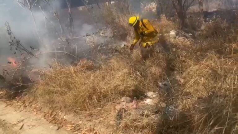 Plecas e informacion - 2026-02-25T142040.733