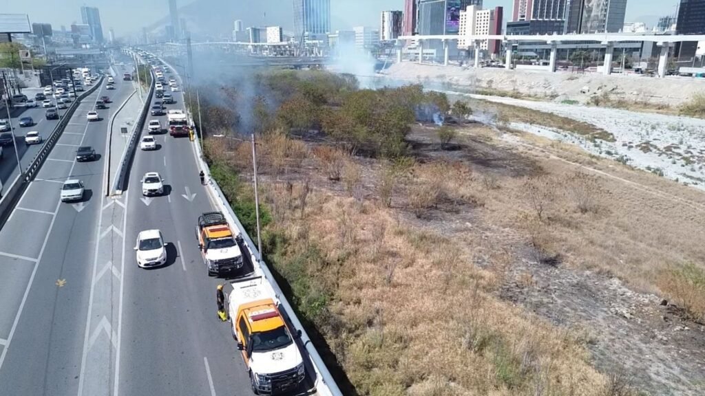 Plecas e informacion - 2026-02-25T142345.638