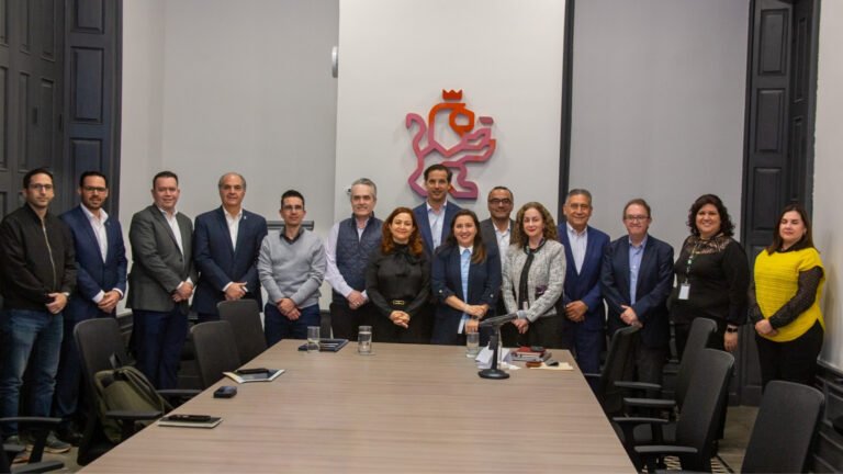 Plecas e informacion - 2026-02-25T175712.991