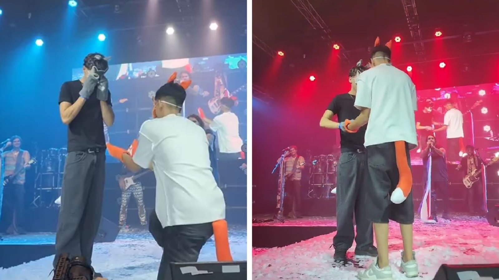 Plecas e informacion - 2026-02-26T101722.325