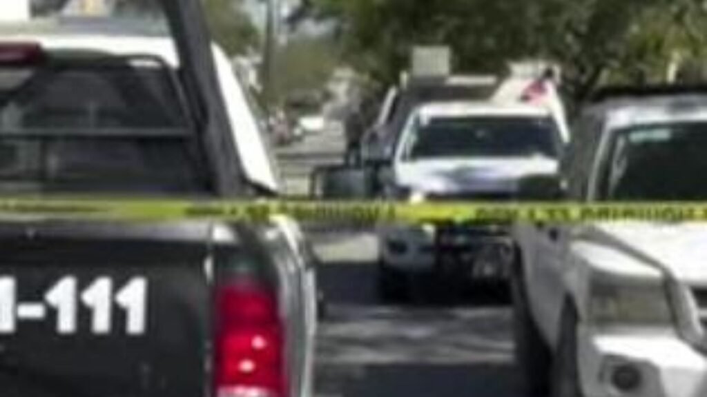 Plecas e informacion - 2026-02-26T121707.308