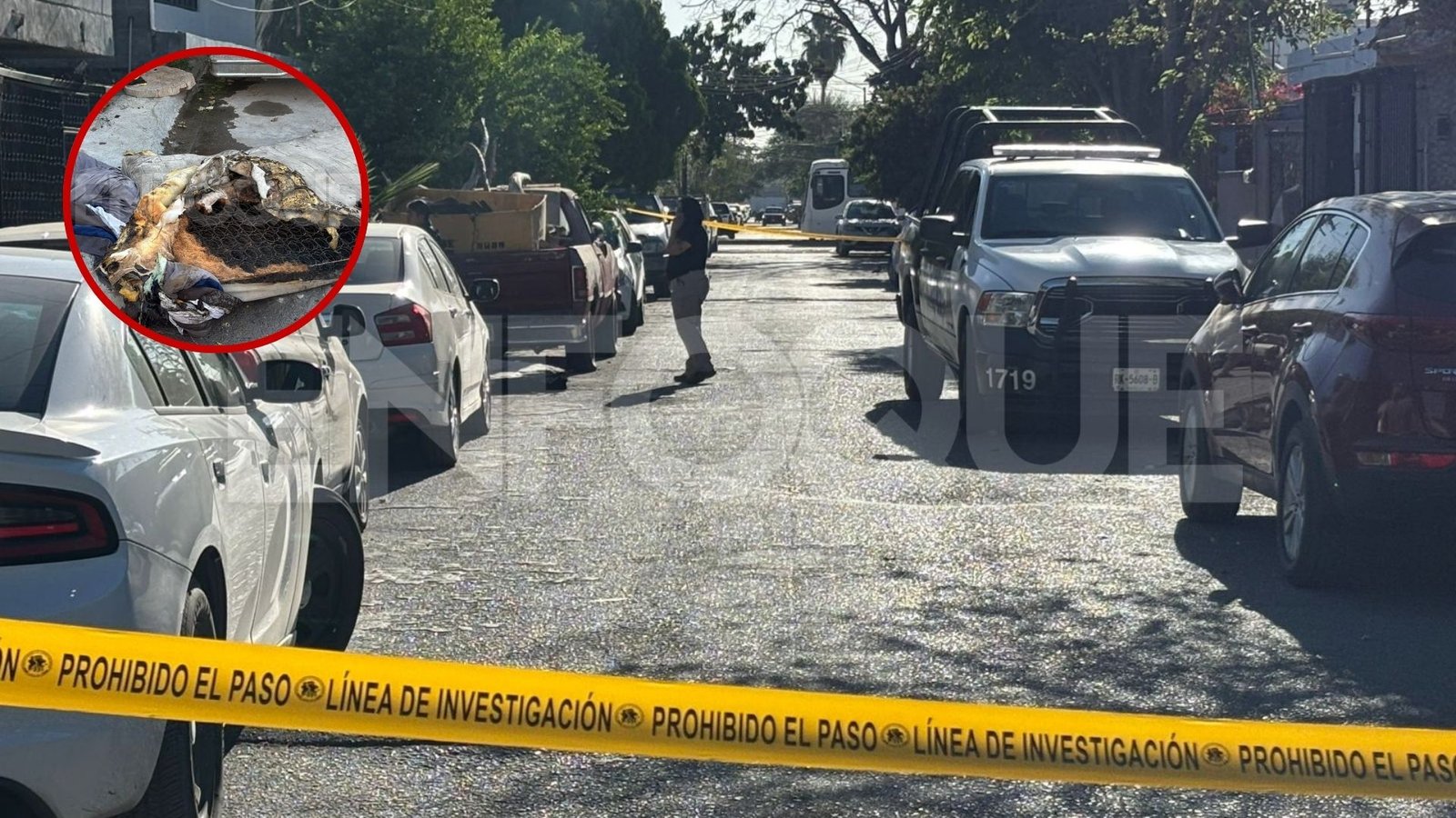 Plecas e informacion - 2026-02-27T115930.597