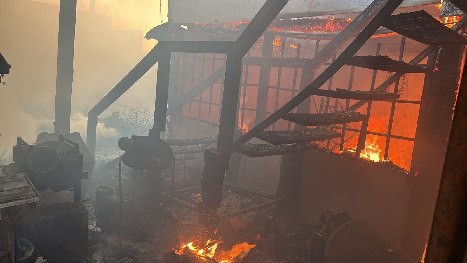 Plecas e informacion - 2026-02-27T120642.586