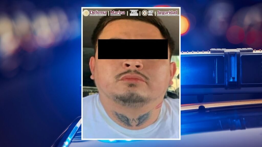 Plecas e informacion - 2026-02-27T124519.098