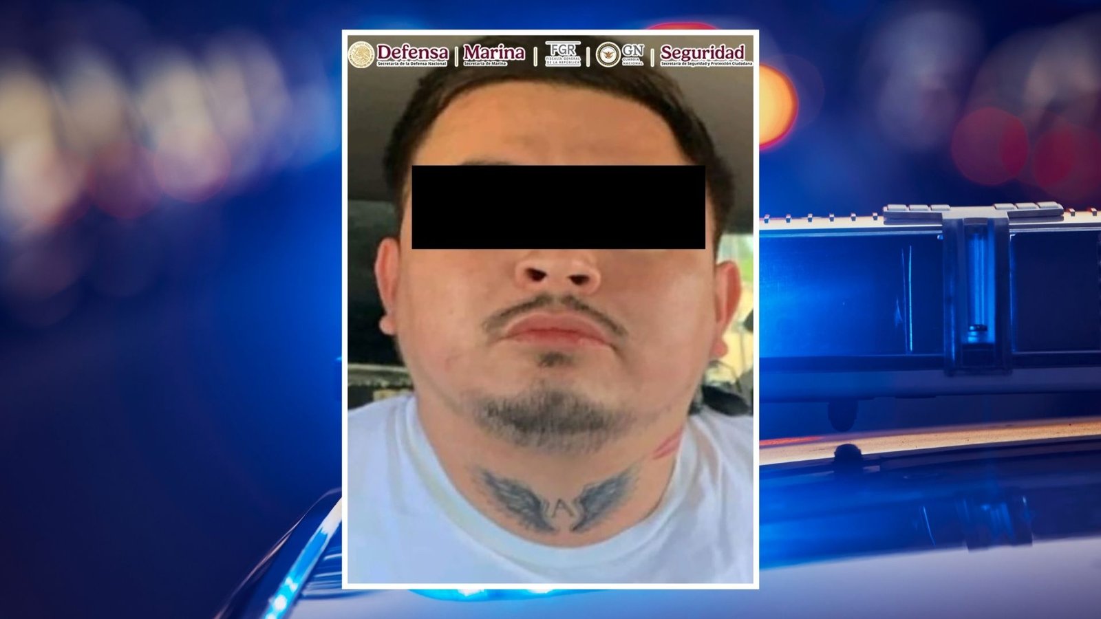 Plecas e informacion - 2026-02-27T124519.098