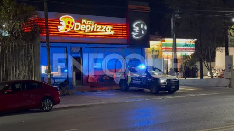 Plecas e informacion (35)