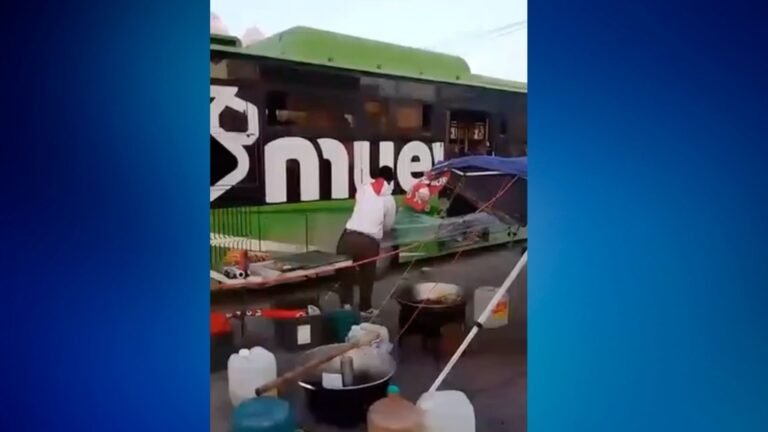 Plecas e informacion (38)