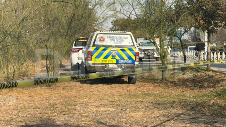 Plecas e informacion (7)