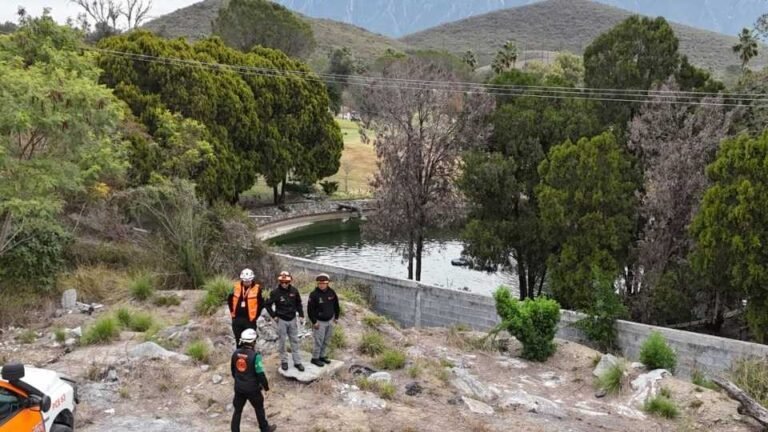puma atropellado, Monterrey, Sierra Alta