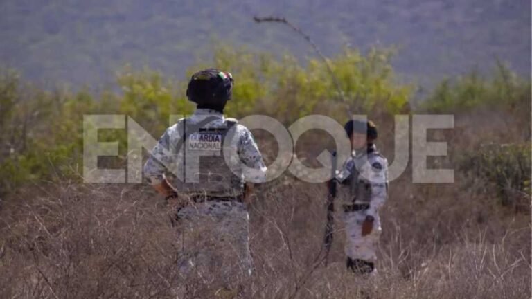 México registra 36 homicidios diarios menos: Sheinbaum