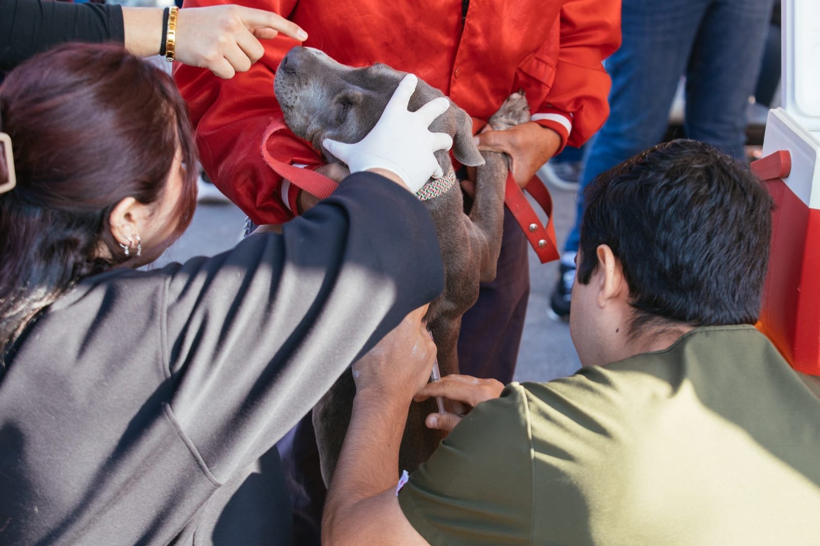 WhatsApp Image 2026-02-11 at 3.50.18 PM