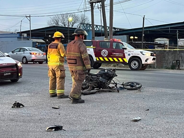 WhatsApp Image 2026-02-14 at 11.15.51 AM