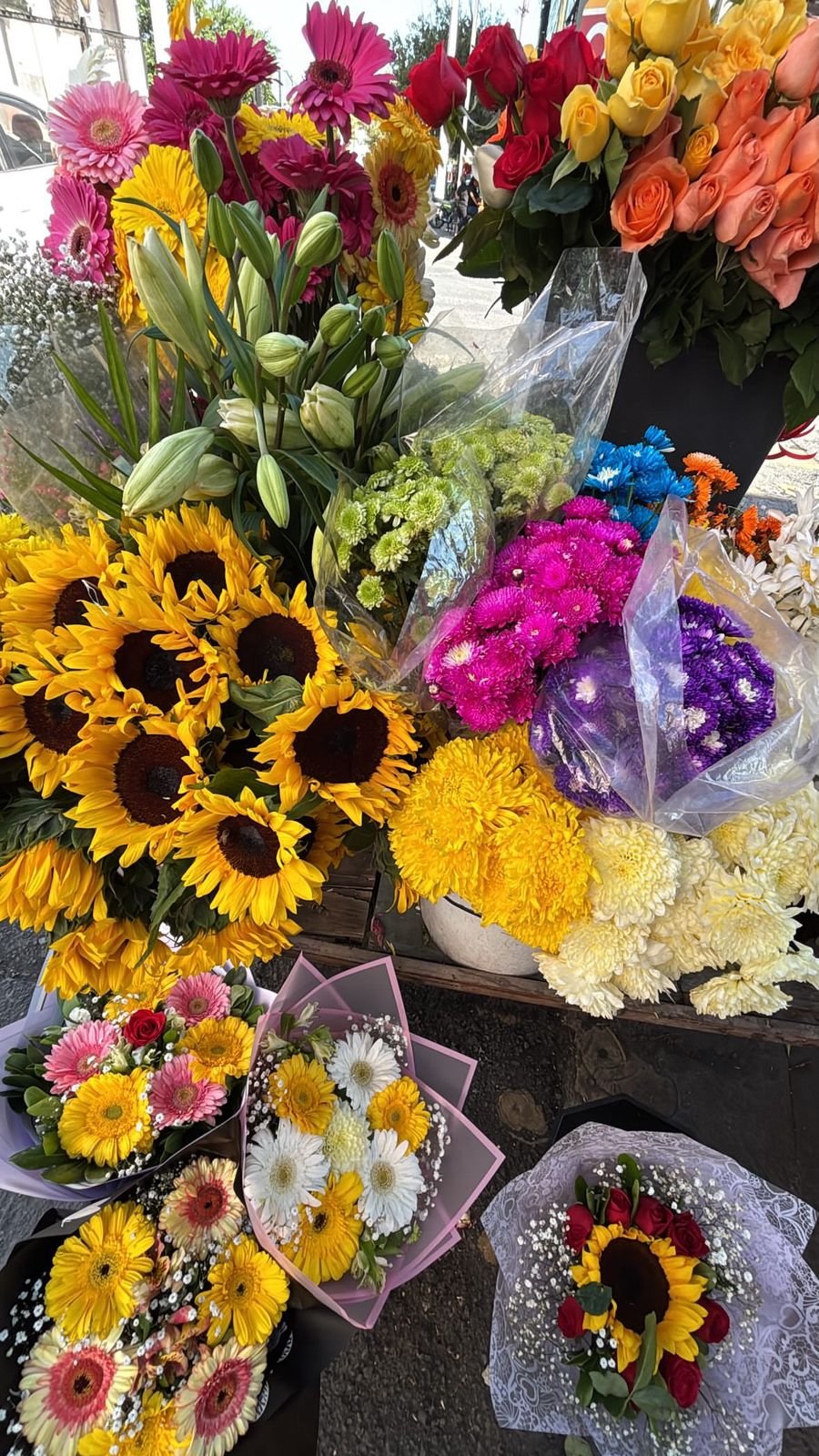 WhatsApp Image 2026-02-14 at 4.57.23 PM