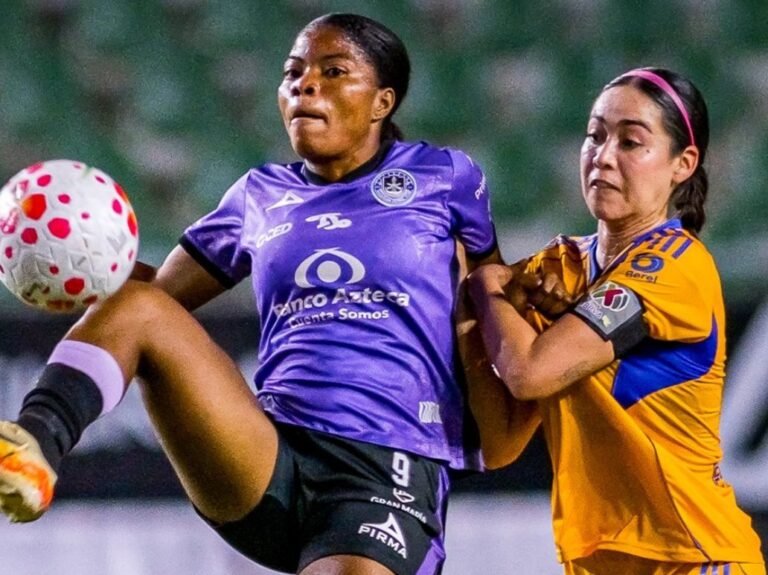 WhatsApp Image 2026-02-17 at 12.23.19 PM