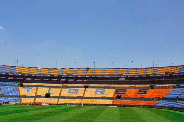 WhatsApp Image 2026-02-18 at 4.17.15 PM