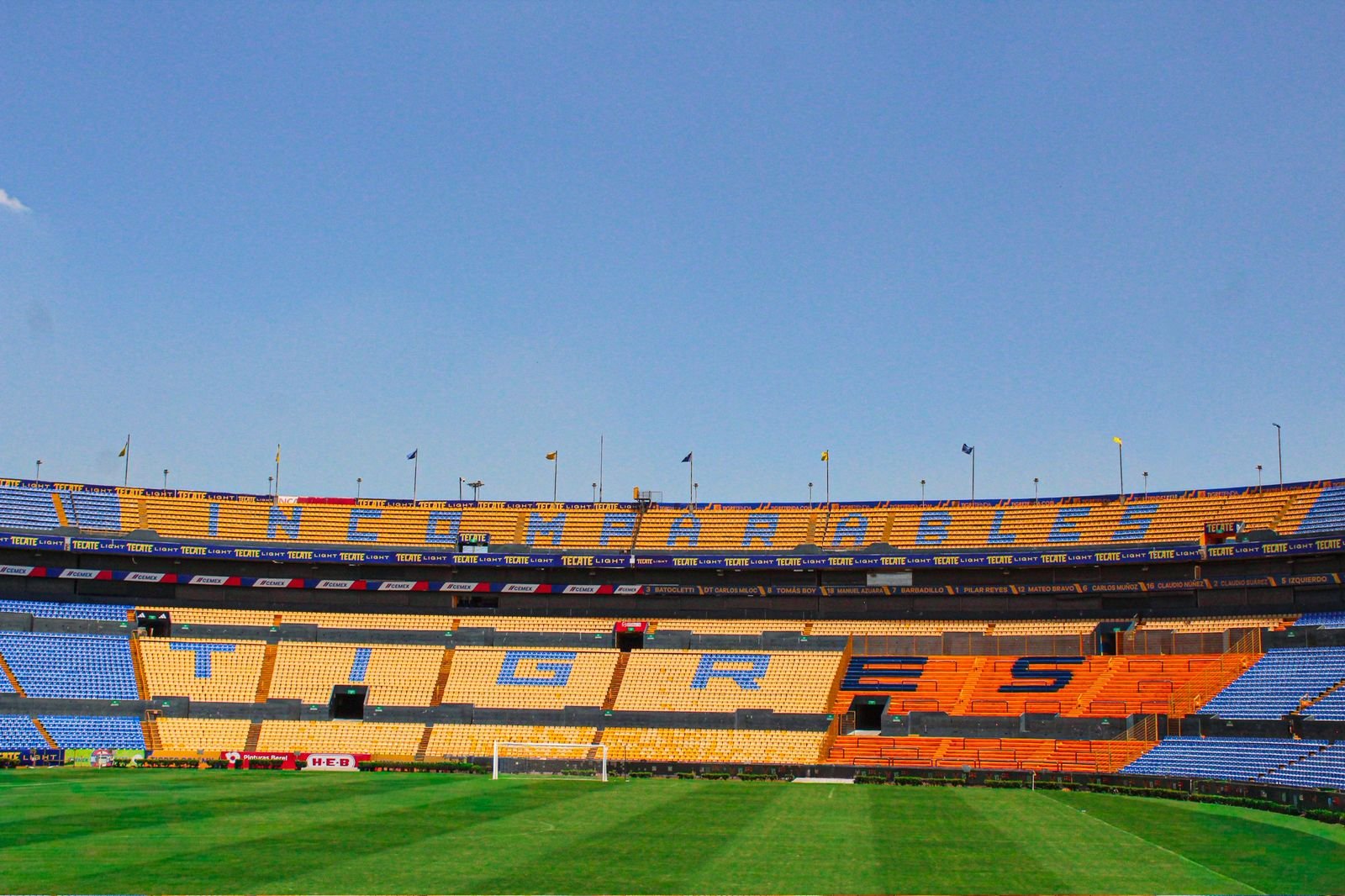 WhatsApp Image 2026-02-18 at 4.17.15 PM