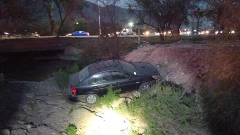 WhatsApp Image 2026-02-19 at 9.49.07 AM