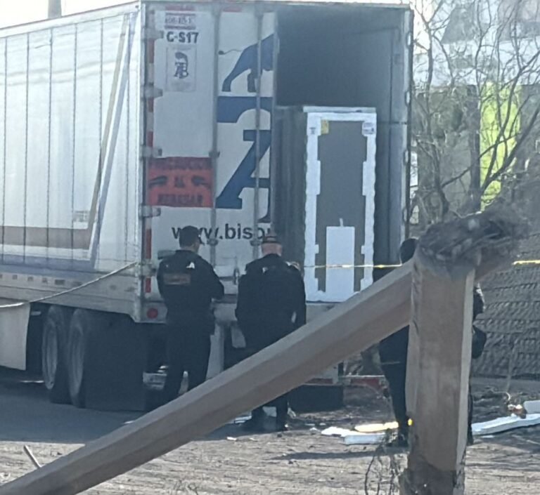 WhatsApp Image 2026-02-24 at 12.08.57 PM