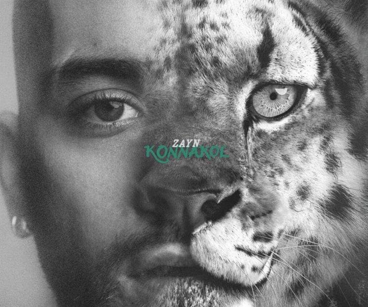 crop-w1008-h841-1-6de2ac03-focus-0-0-745-622