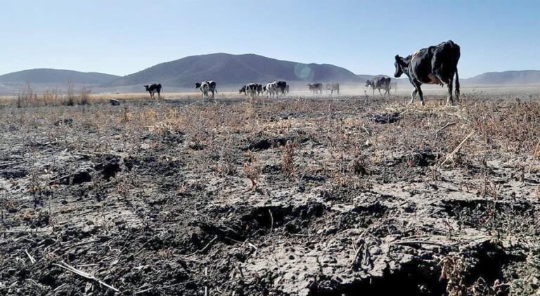 1-agudiza-sequia-1-d6f29e44-focus-0.02-0.02-745-622