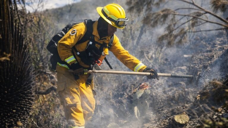 Pagina para descripcion (2)